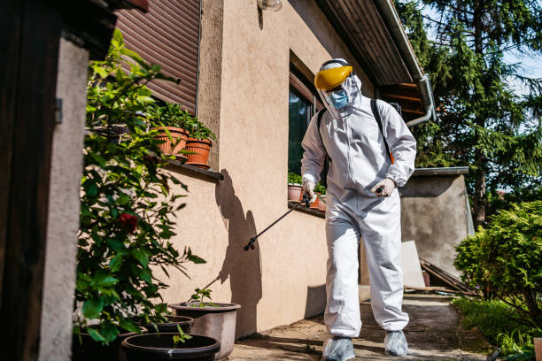 Best Flea Control Services  in Rapid City, SD