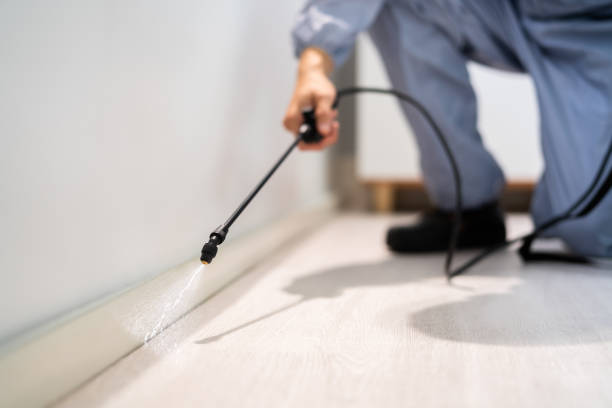Pest Prevention Services in Rapid City, SD