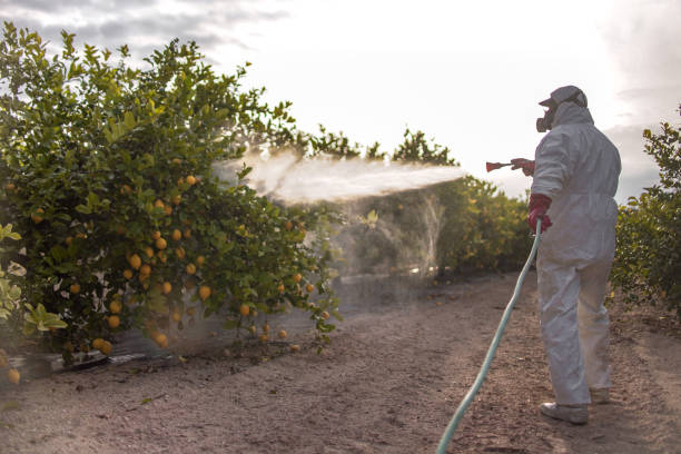 Best Pest Control Near Me  in Rapid City, SD
